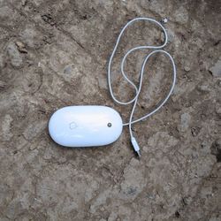 Apple Mouse