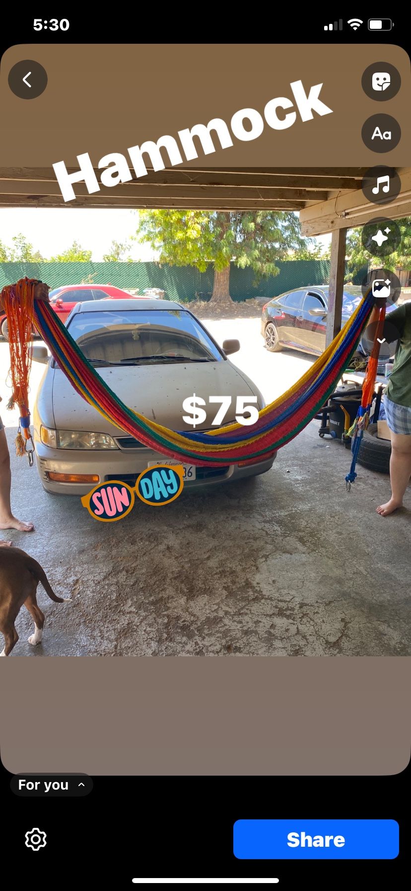 Hammock/Hamaca