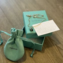 Tiffany & Co. Ladybug Charm Necklace (silver)