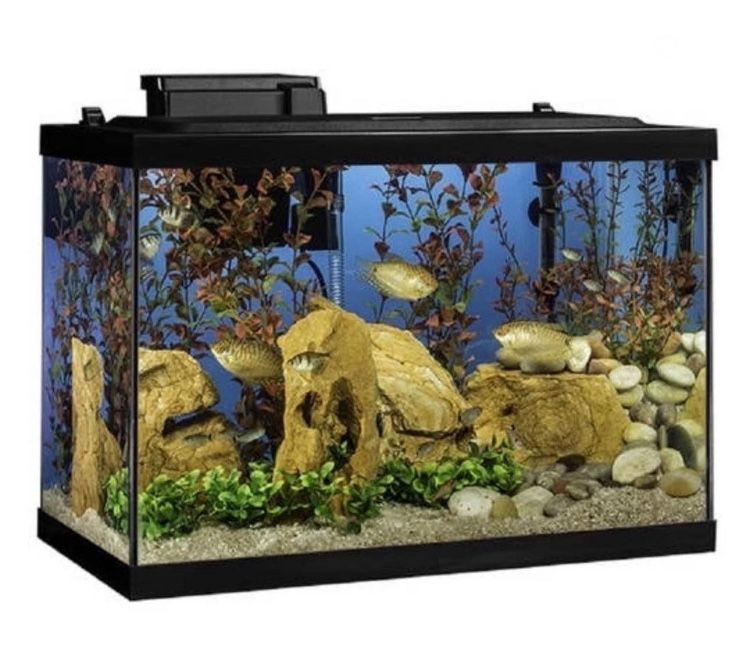 NEW 20-Gallon LED Fish Tank Kit – Complete Starter Set w/ Filter, Heater & Decor!