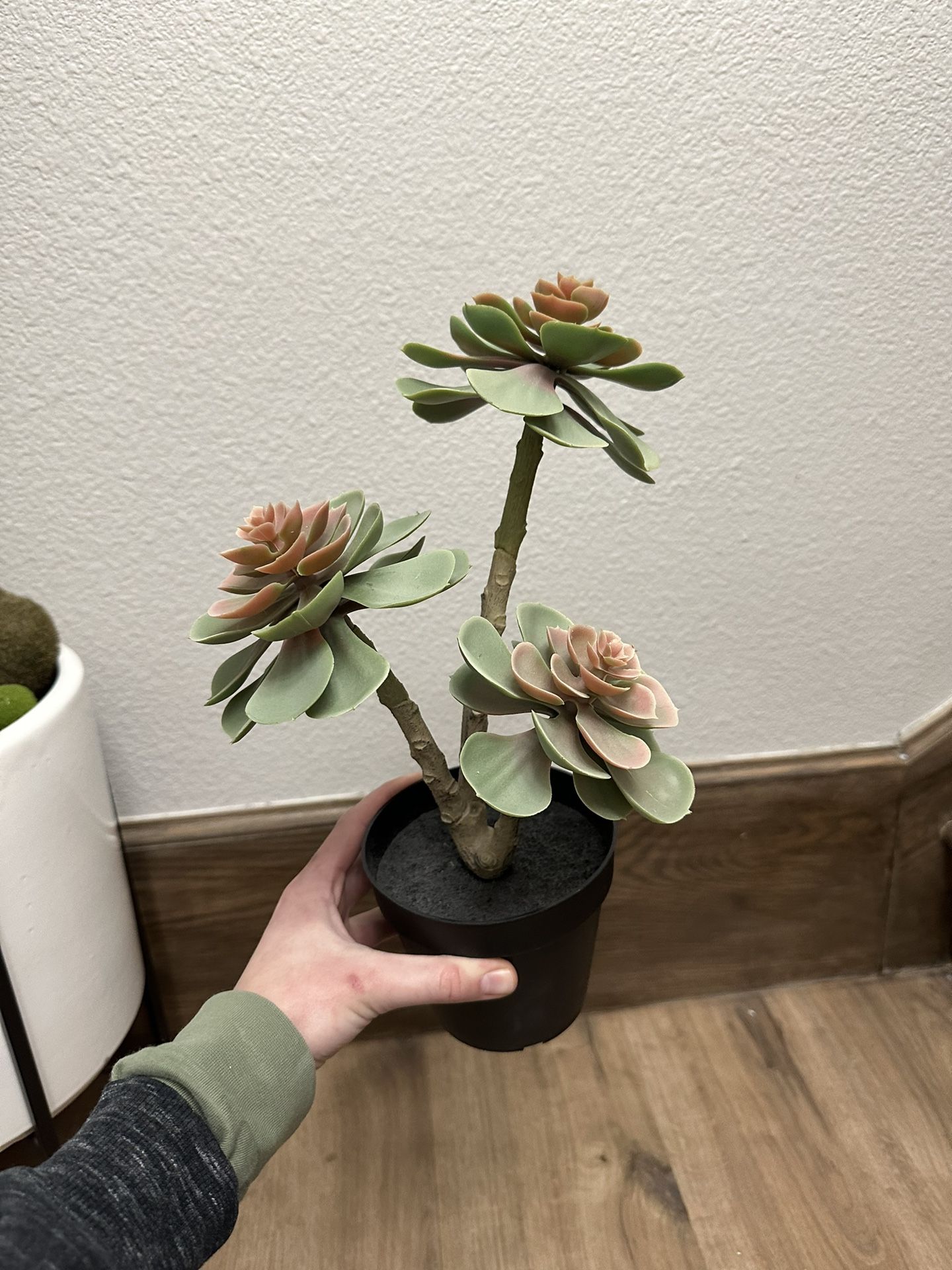 Faux Succulent Plant Decor
