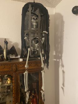 Skeleton