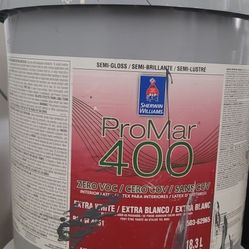 Semi Gloss Paint /Flat