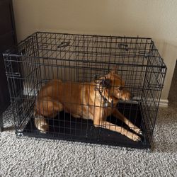 Dog Crate 36x24x22in