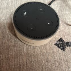 Amazon Alexa Model RS03QR WORKS