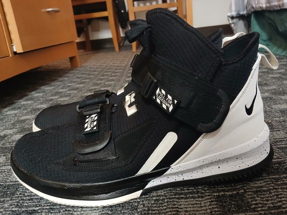Nike LeBron 13s 12.5