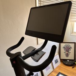 Exercise Bike by Freebeat