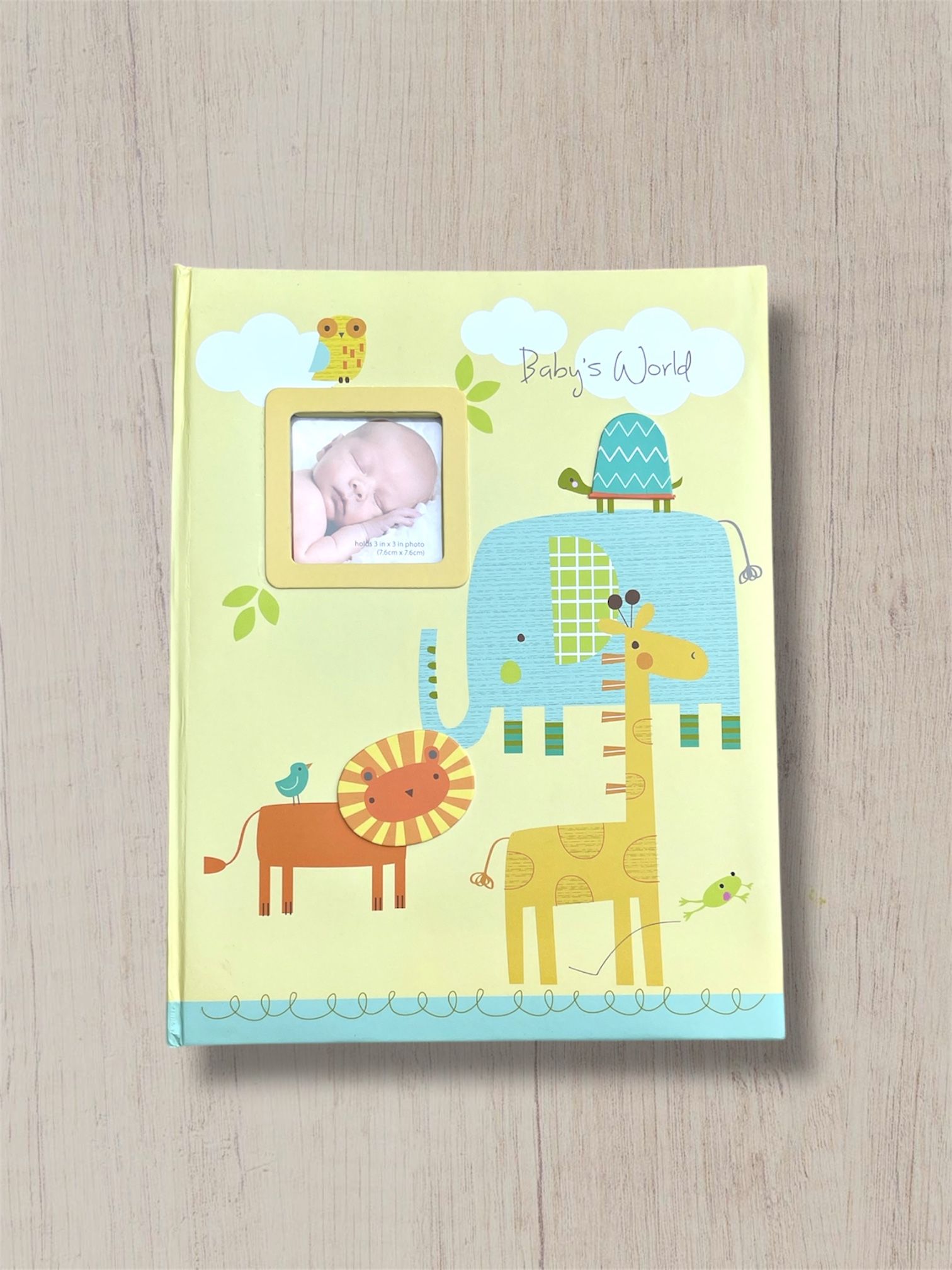 C.R. Gibson Stepping Stones Baby's First Memory Book  