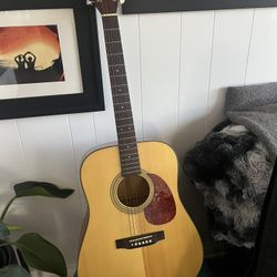 Acoustic Guitar