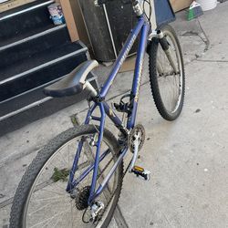 Mountain Bike