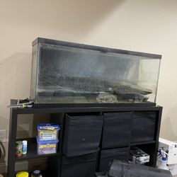 75 And 20 Gallon Aquarium 