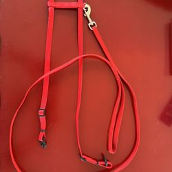 Red Pet Harness and Leash