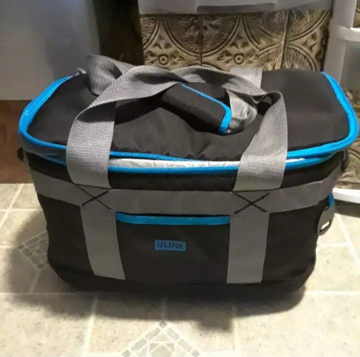 Large Cooler Bag In Good Condition,  25.