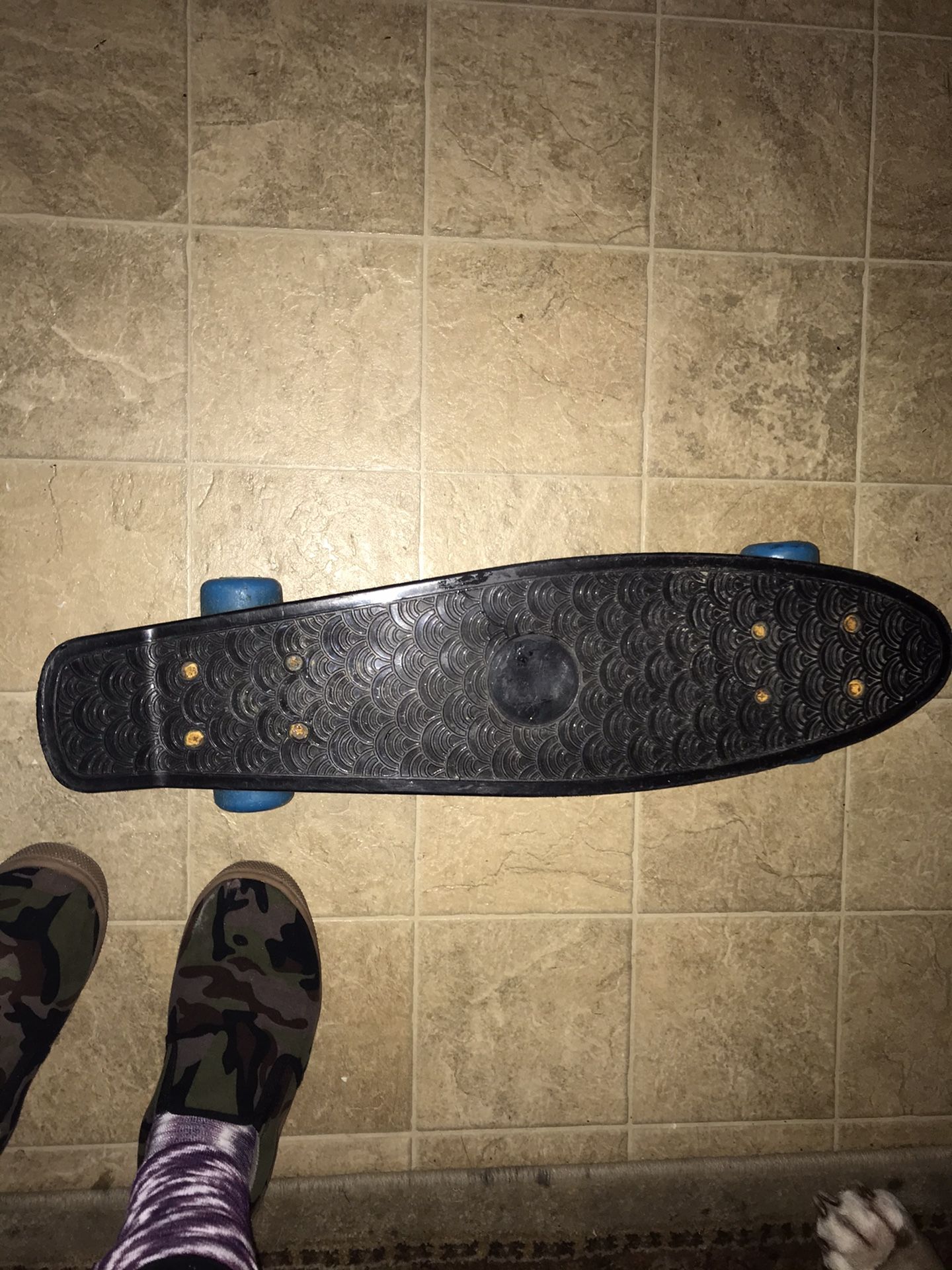 Penny boards, Schwinn bike. Raleigh bike. And roller blades in need of a little tlc
