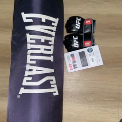 Everlast 70 Lb Nevatear Heavy Bag and UFC MMA Glove