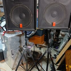 Pair Of Fender  Monitors 