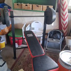 Weight Bench