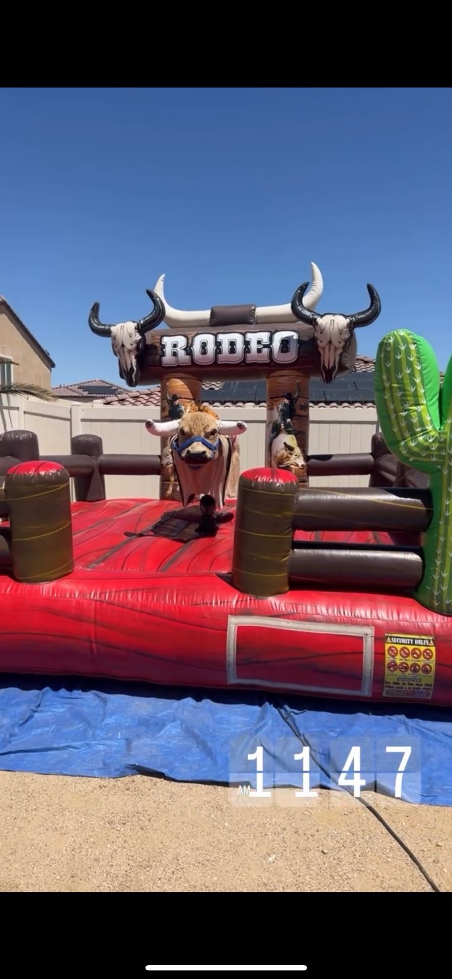 Toro Rodeo