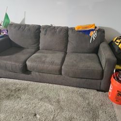 Sofa And Electric Recliner