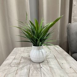 Fake Artificial Grass in Modern White Ceramic Plant Pots. Table Centerpiece.