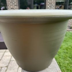 Flower Pot 