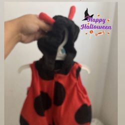 Lady Bug Costume