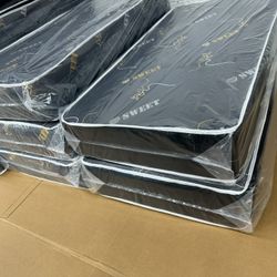 Twin Size $99     Box Spring $35 