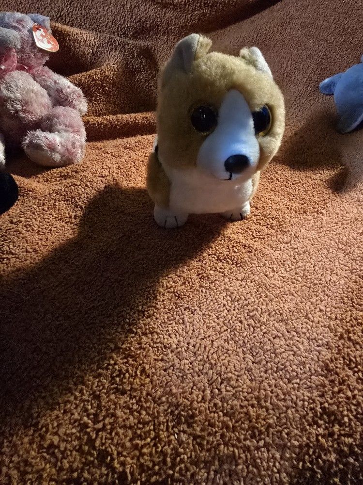 TY Toy