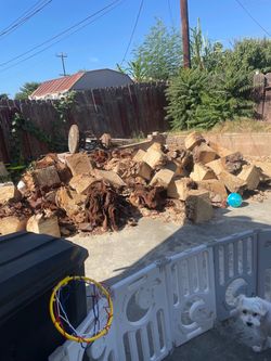 Free firewood for anyone who wants it.