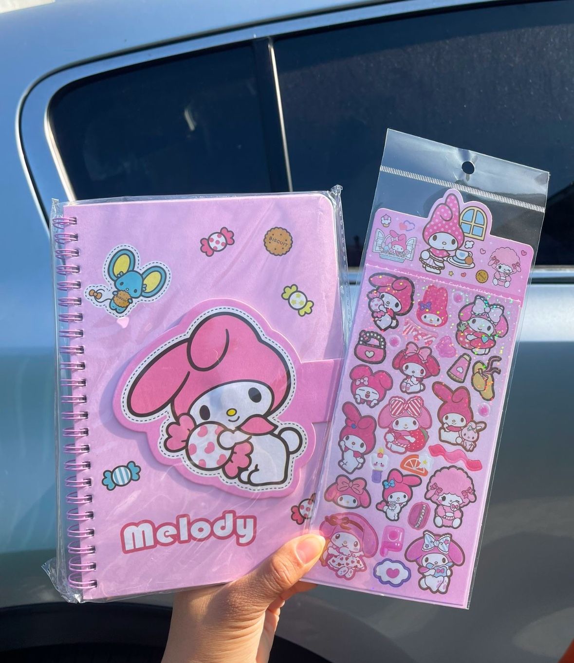 My Melody Notebook And Stickers
