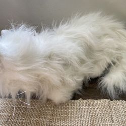 Hasbro FurReal Friends White Persian Cat 2003 Responds To Touch-tiger Electronic