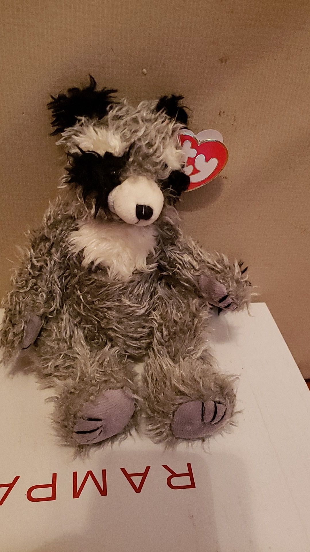 Radcliffe ( Raccoon beanie baby)