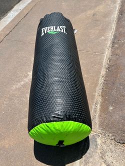 Everlast punching bag