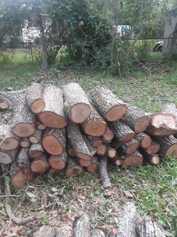 free fire wood for sale in jacksonville, fl - offerup