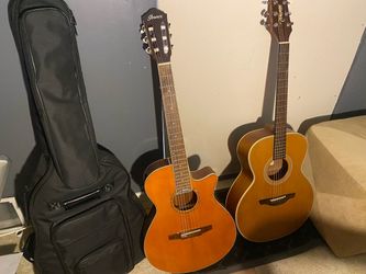 One case Ibañes AEG10N|| and takamine GSeries GS430S