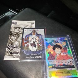Luffy ERROR bundle 