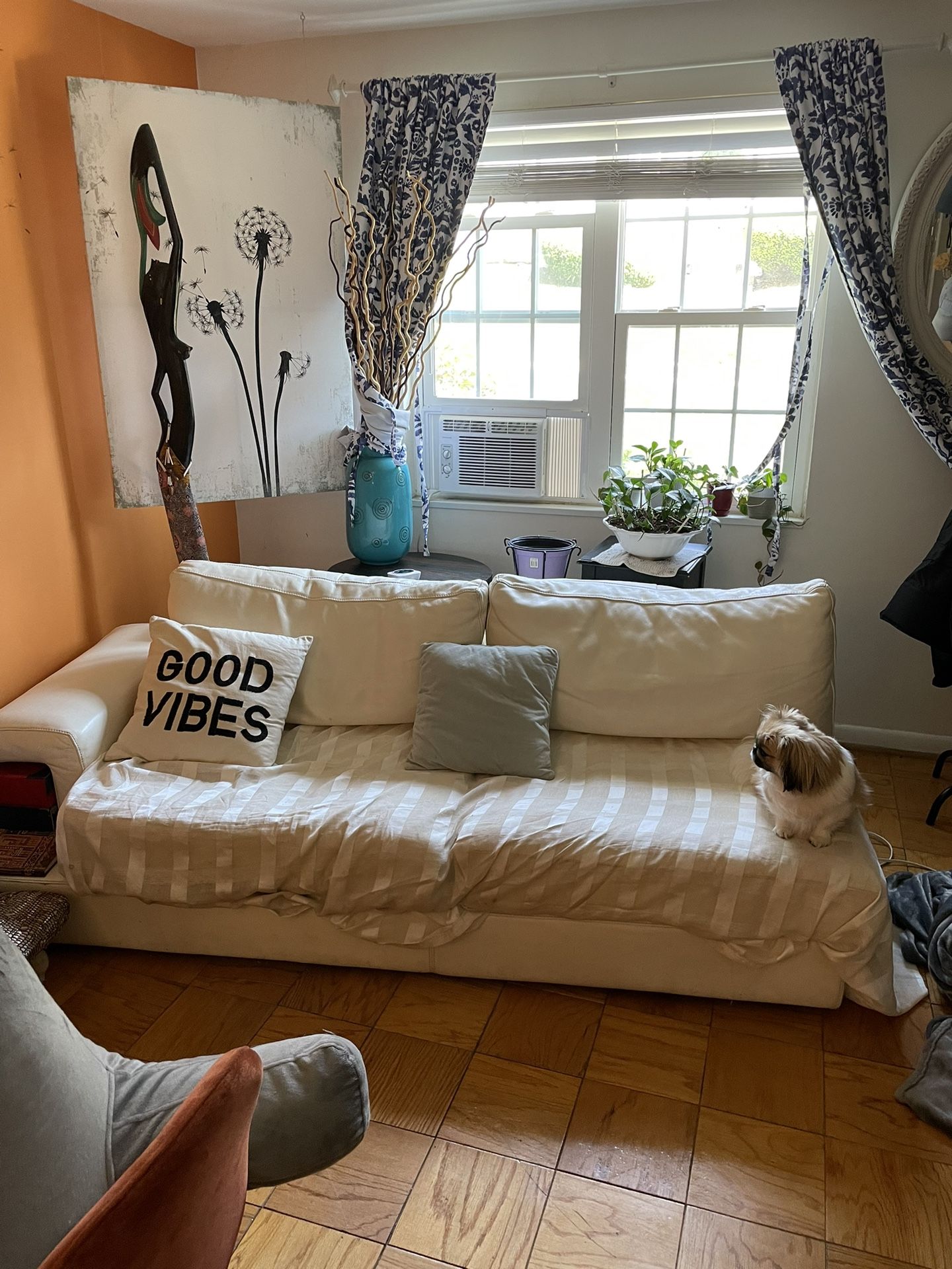 White Leather Couch