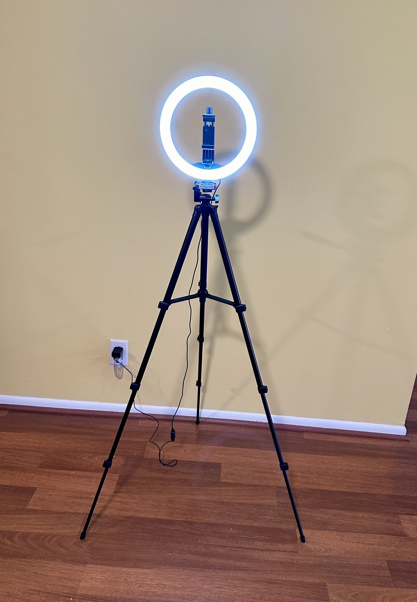 10” Selfie Ring Light With Tripod 