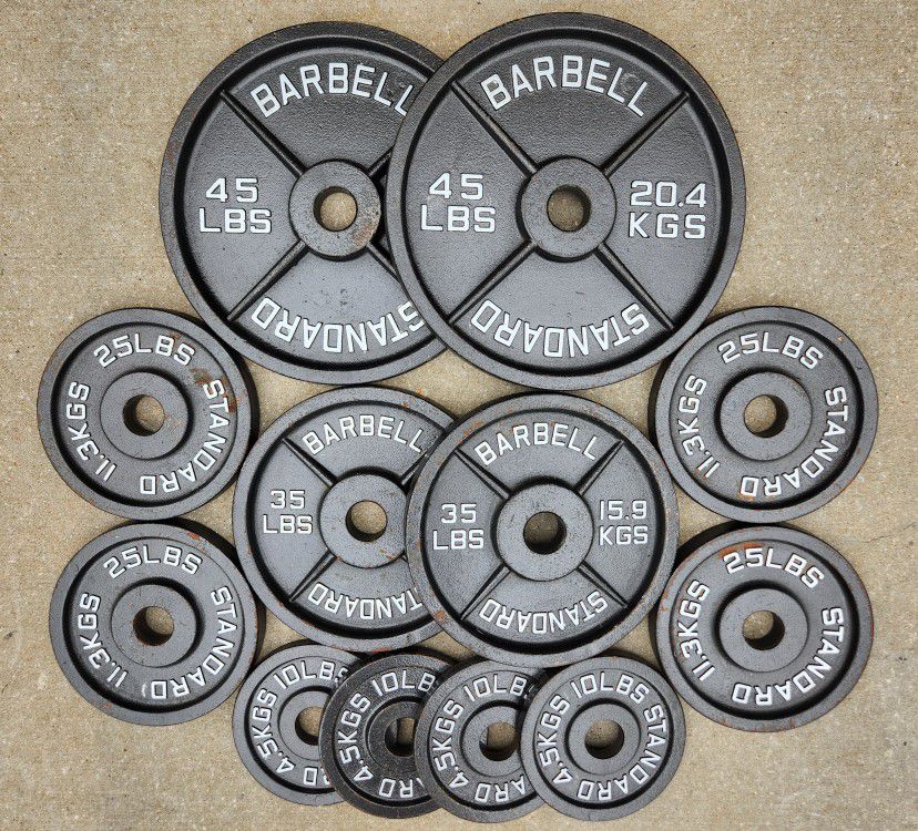 Rogue Iron Olympic Weight Plate Set 300lbs