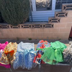 9 Pound Chihuahua Dress Up