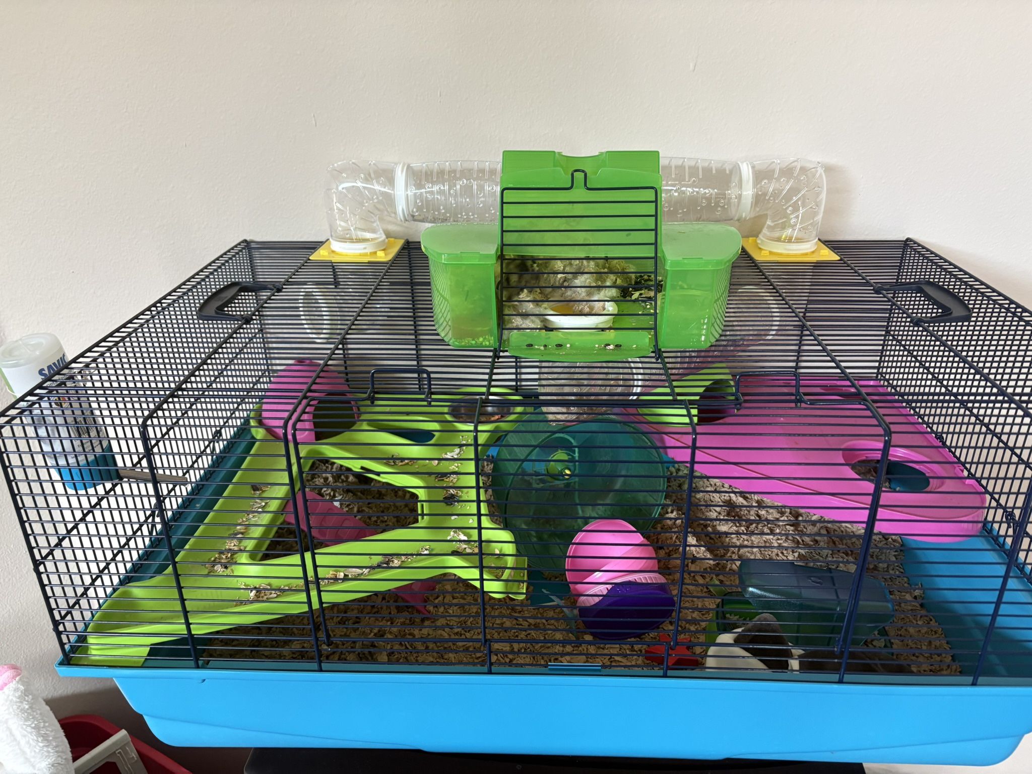 Hamster Cage