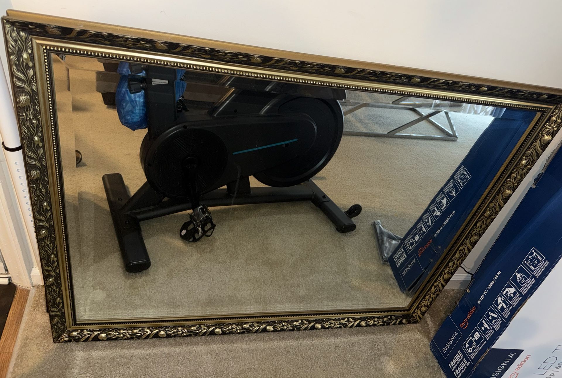 Mirror and Stationary Bike