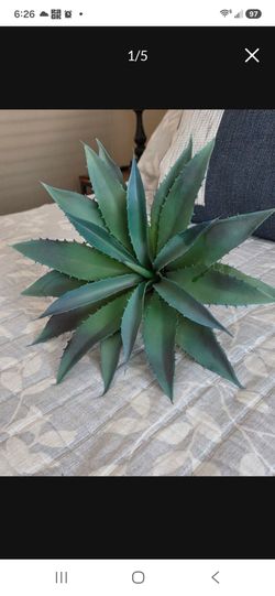 Artificial succulent aloe Vera plant