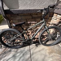 specialized roll sport bike