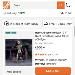 Giant Sized skeleton -Halloween 