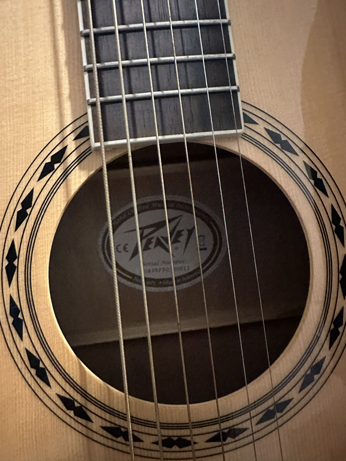 Peavey DW-2 With Tuner 
