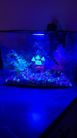 Aquarium small Glow in the dark