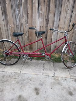 Schwinn Double Seater