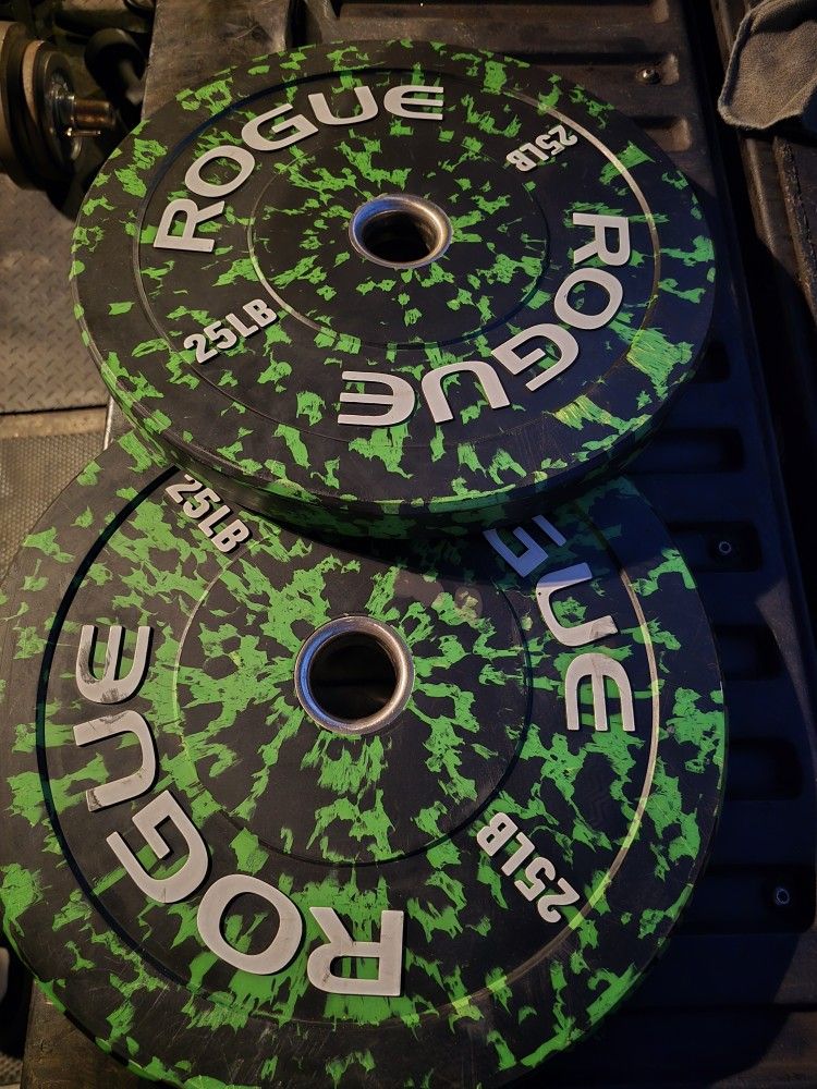 Weight Rogue Fleck Plates