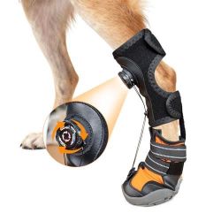 YAQUHO No Knuckling Brace for Dogs - Drop Foot Support with Adjustable Reel, Corrective Outdoor Pet Shoes - Helps Lift Toes for Nerve Conditions, Arth